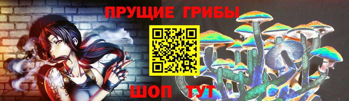 Псилоцибиновые грибы Psilocybe Мценск